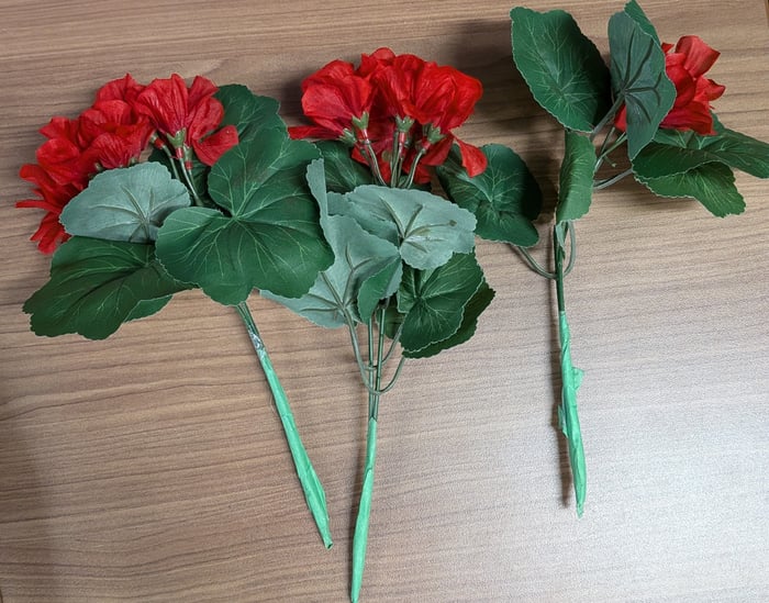 AC10 - fleurs rouges image