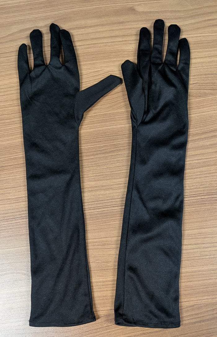 AC27 - Long gants noirs  image