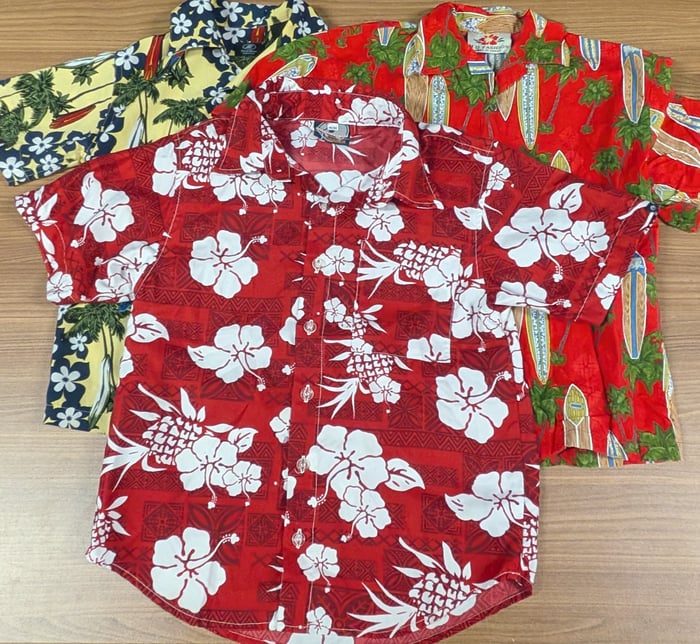 CH4 - Chemises hawaïennes image